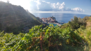 floresto_vernazza_3_025