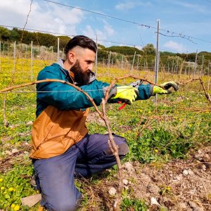 Agricola Leo Conti