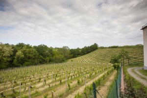 Cascina Gentile