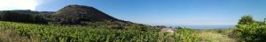 Mulsum - Azienda Agricola Volzone