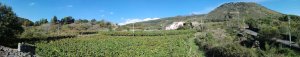 Mulsum - Azienda Agricola Volzone